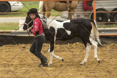 PCSChorseshow62214_IMG_4445