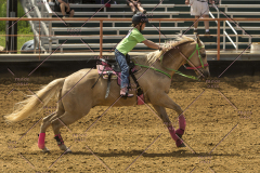 PCSChorseshow62214_IMG_5171