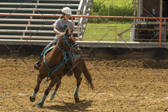 PCSChorseshow62214_IMG_5175