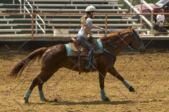 PCSChorseshow62214_IMG_5180