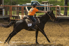 PCSChorseshow62214_IMG_5194