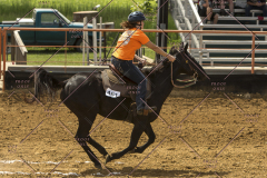 PCSChorseshow62214_IMG_5195