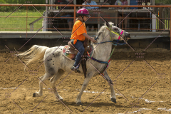 PCSChorseshow62214_IMG_5216