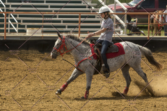 PCSChorseshow62214_IMG_5223