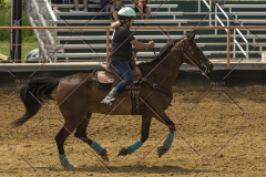 PCSChorseshow62214_IMG_5235