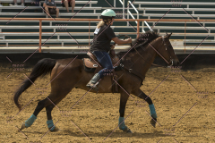 PCSChorseshow62214_IMG_5236