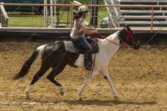 PCSChorseshow62214_IMG_5243