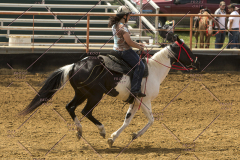 PCSChorseshow62214_IMG_5245