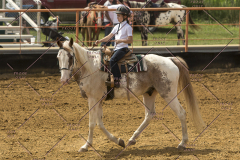 PCSChorseshow62214_IMG_5251