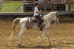 PCSChorseshow62214_IMG_5255