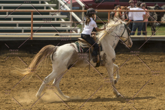 PCSChorseshow62214_IMG_5257