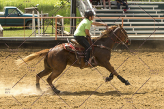 PCSChorseshow62214_IMG_5291