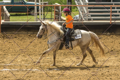 PCSChorseshow62214_IMG_5295