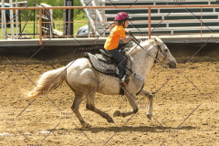 PCSChorseshow62214_IMG_5300