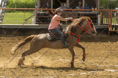 PCSChorseshow62214_IMG_5313