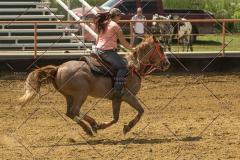 PCSChorseshow62214_IMG_5316