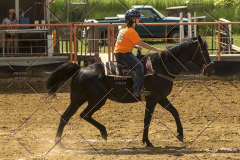 PCSChorseshow62214_IMG_5320