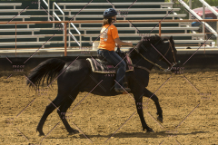 PCSChorseshow62214_IMG_5324