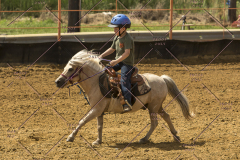 PCSChorseshow62214_IMG_5325