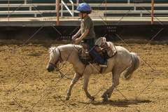 PCSChorseshow62214_IMG_5327