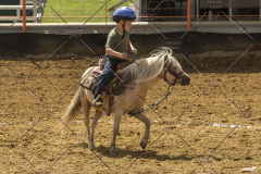 PCSChorseshow62214_IMG_5332