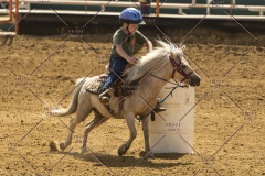 PCSChorseshow62214_IMG_5354