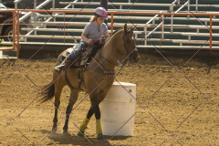 PCSChorseshow62214_IMG_5362