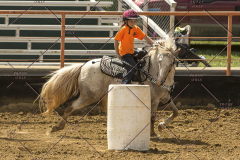 PCSChorseshow62214_IMG_5380