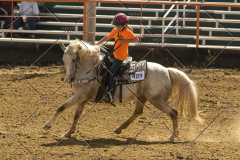 PCSChorseshow62214_IMG_5387