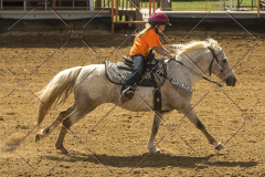 PCSChorseshow62214_IMG_5391