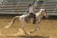 PCSChorseshow62214_IMG_5399