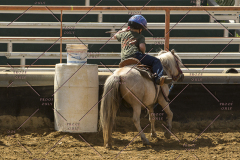 PCSChorseshow62214_IMG_5432