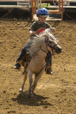 PCSChorseshow62214_IMG_5438