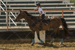 PCSChorseshow62214_IMG_5441