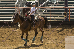 PCSChorseshow62214_IMG_5445