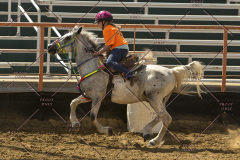 PCSChorseshow62214_IMG_5447
