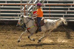 PCSChorseshow62214_IMG_5450