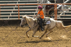 PCSChorseshow62214_IMG_5458