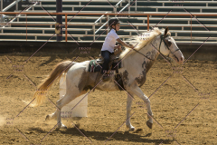PCSChorseshow62214_IMG_5467