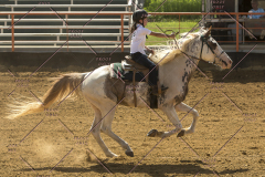 PCSChorseshow62214_IMG_5470