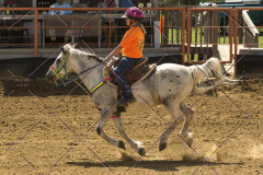 PCSChorseshow62214_IMG_5472