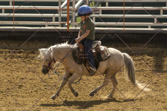 PCSChorseshow62214_IMG_5482