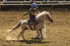 PCSChorseshow62214_IMG_5487