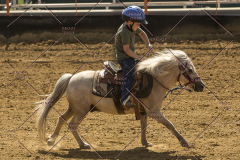 PCSChorseshow62214_IMG_5489