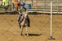 PCSChorseshow62214_IMG_5527