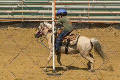 PCSChorseshow62214_IMG_5532