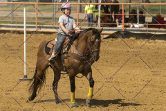 PCSChorseshow62214_IMG_5537