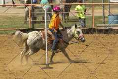 PCSChorseshow62214_IMG_5561