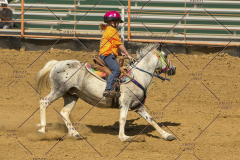 PCSChorseshow62214_IMG_5564