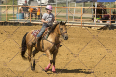 PCSChorseshow62214_IMG_5587